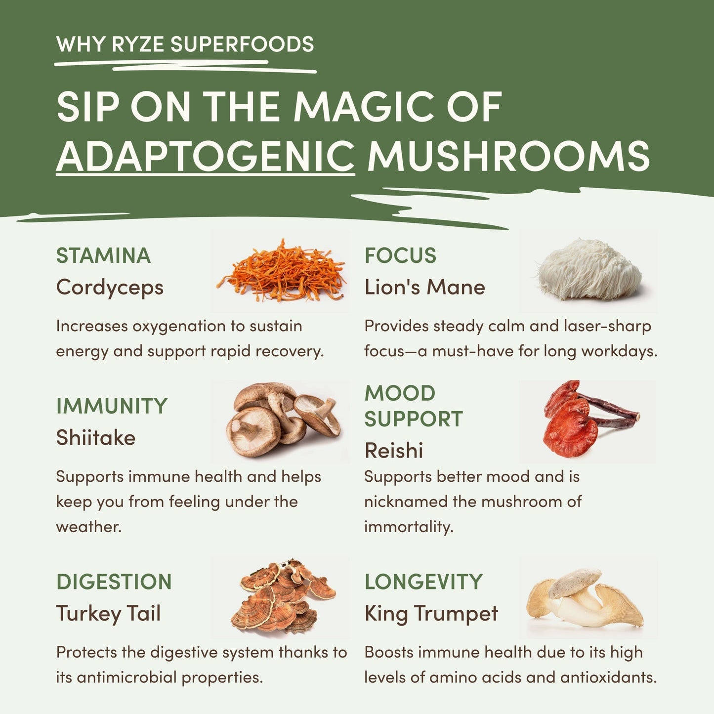 Mushroom Matcha (30 Servings)